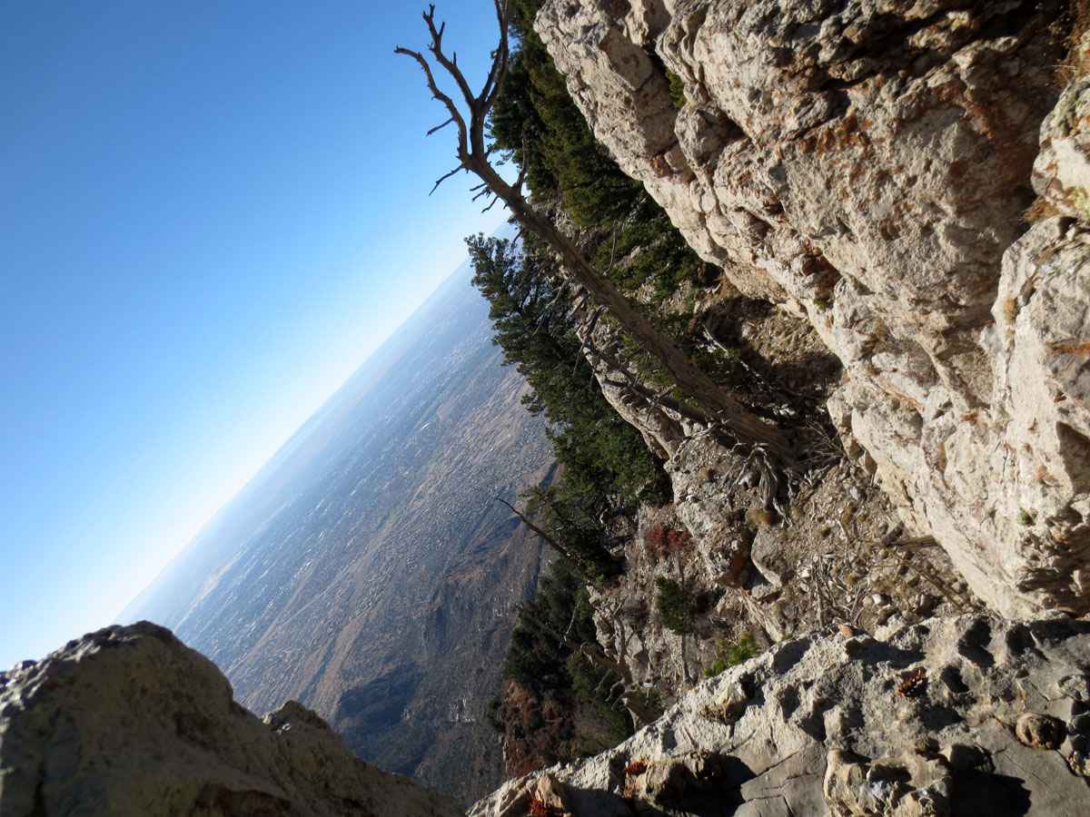 Look at things differently by Susan Fluegel